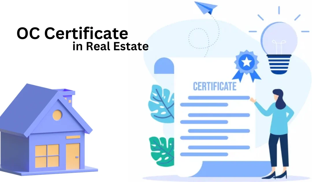 What is OC Certificate? OC Full Form in Real Estate