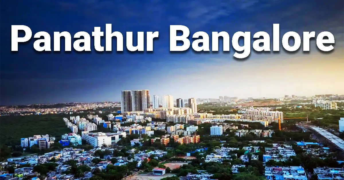 Panathur Bangalore Area Guide Why Panathur Main Road Is Booming