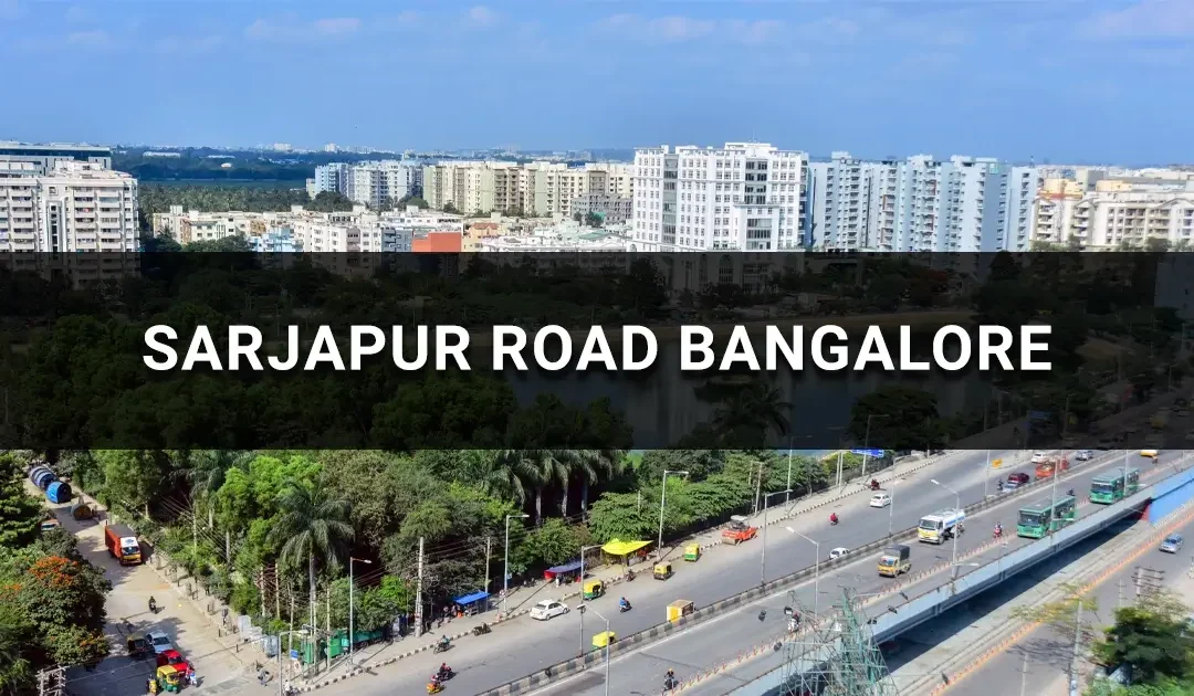 Sarjapur Road Bangalore: A Prime Hub for Real Estate Growth