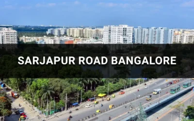 Sarjapur Road Bangalore: A Prime Hub for Real Estate Growth