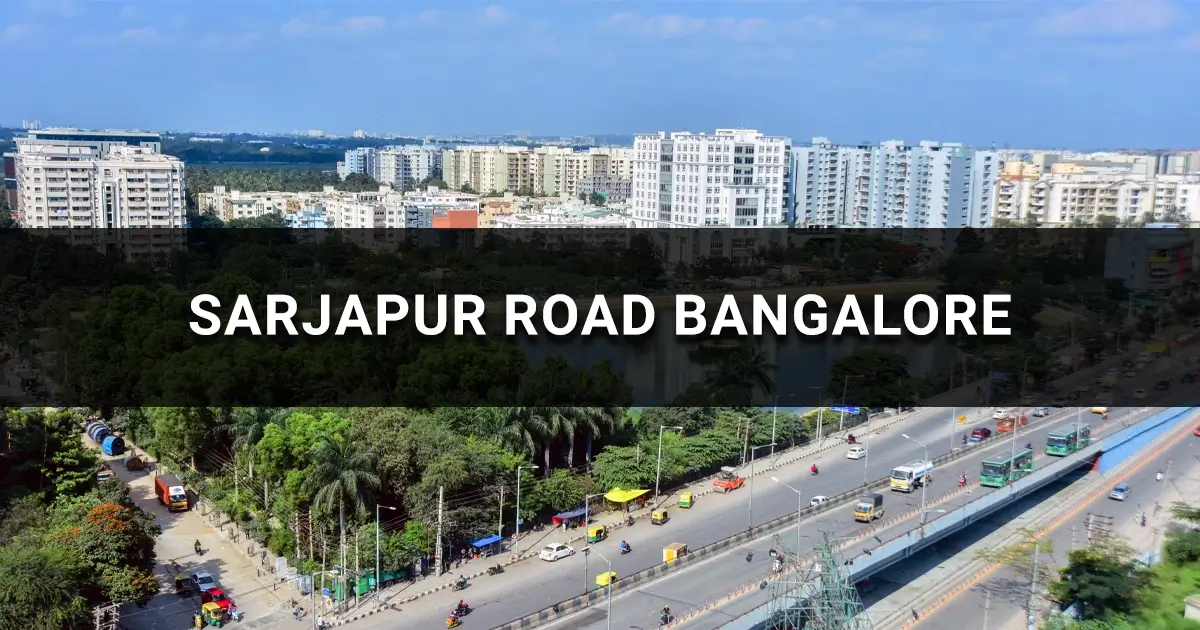 Sarjapur Road Bangalore