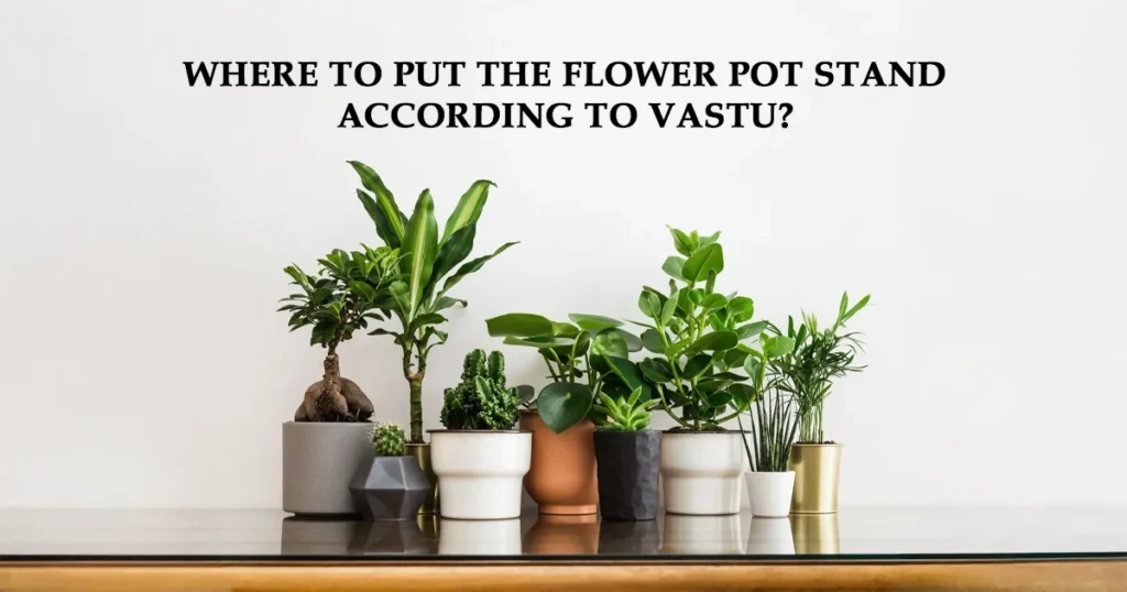 Where to Put the Flower Pot Stand According to Vastu?